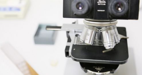 Mikroskop in der Praxis